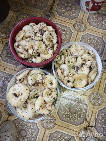 Грибы грузди сырые