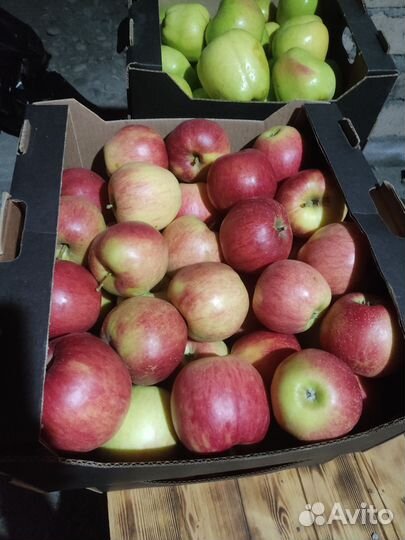 Яблоки, Джанаголд