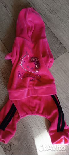 Одежда для собак мелких пород и кошек