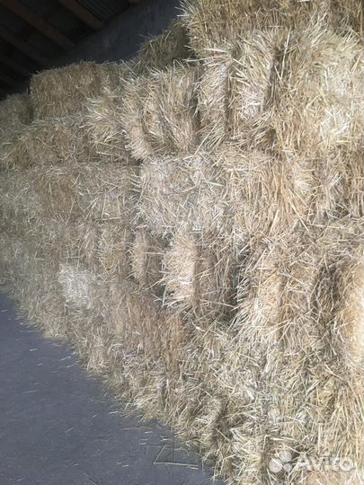 Солома яровая