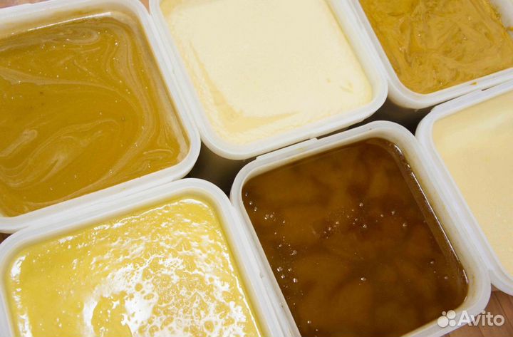 2024 Мёд натуральный из Алтая оптом