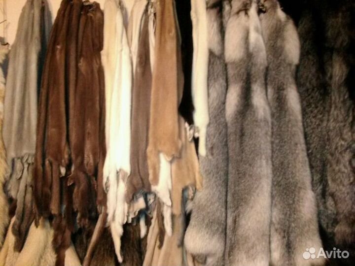 Большие шкурки лисы, Чернобурки 