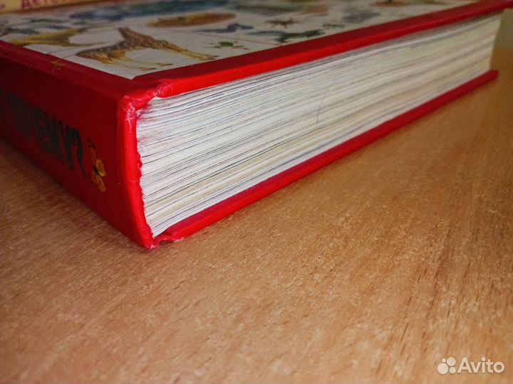 Детская энциклопедия