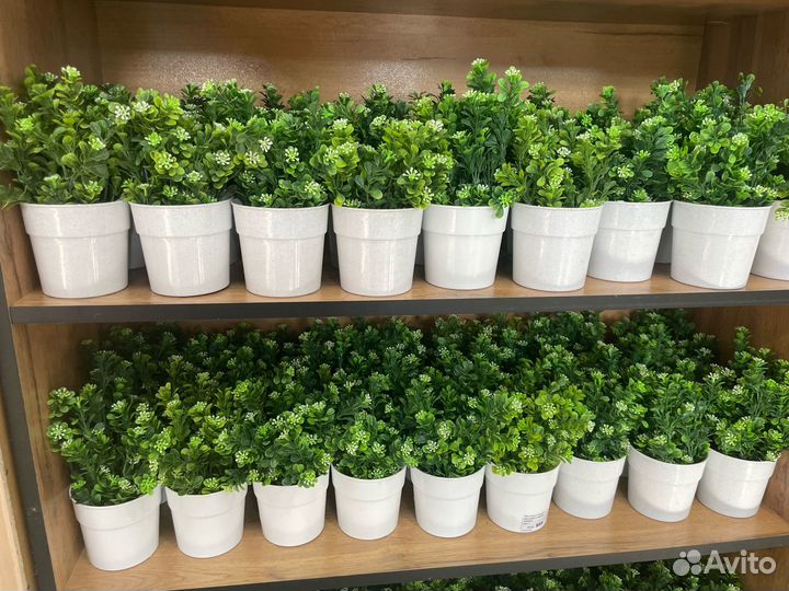 Искусственные растения