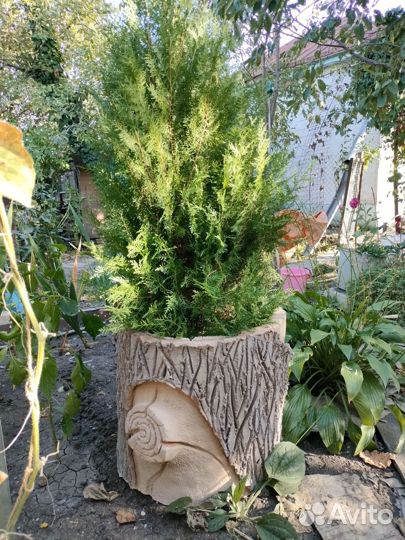 Кашпо, цветник из арт-бетона