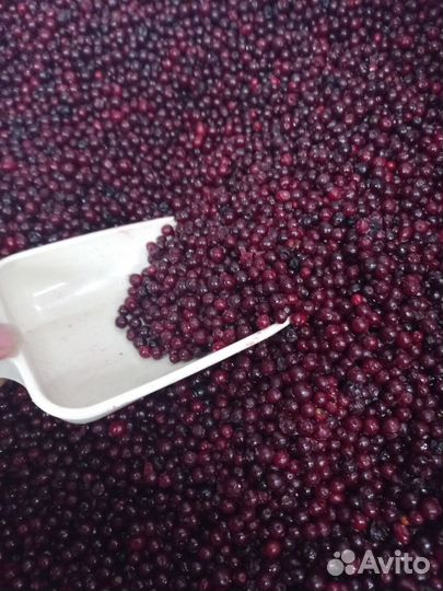 Ягода Брусника 1 кг