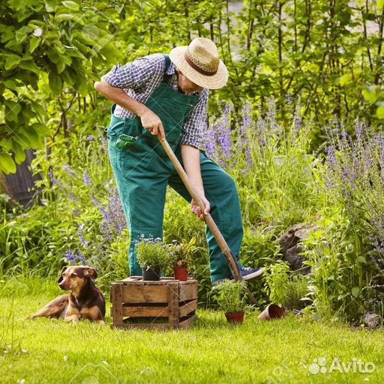 Помощники по хозяйству, семейная пара