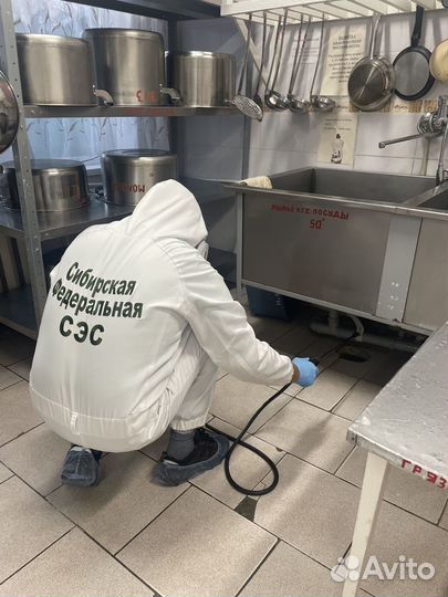 Дезинфекция / уничтожение тараканов