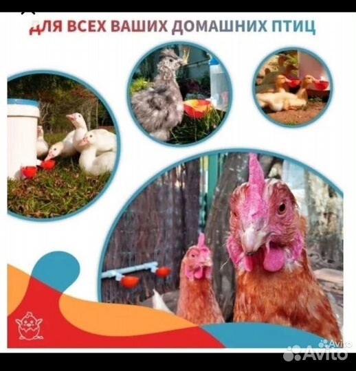 Поилка для кур 20л