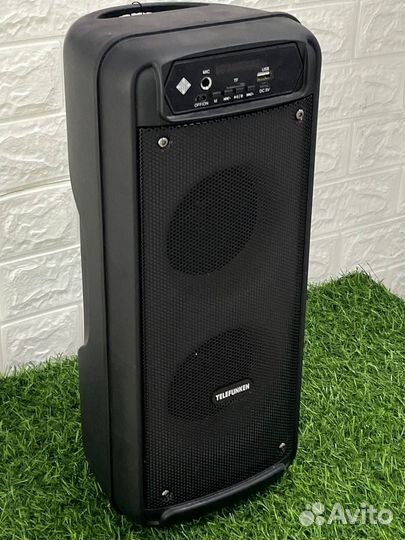 Портативная колонка Telefunken TF-PS2212