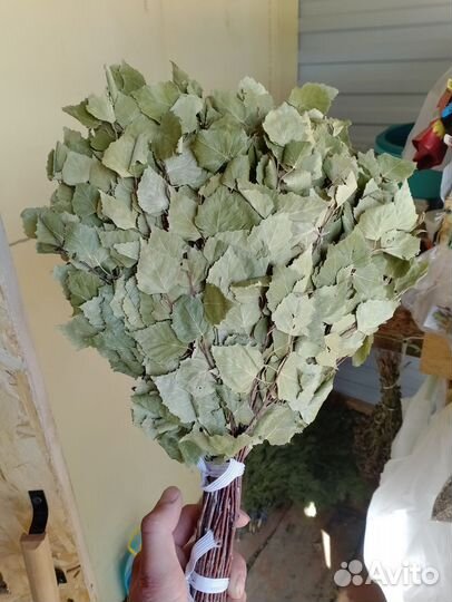 Березовые веники