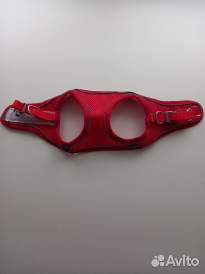 Шлейка и миски для маленькой собаки