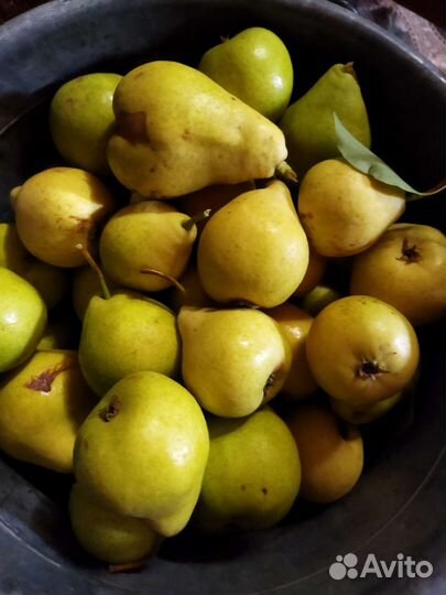 Груши