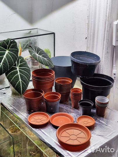 Горшки пластиковые для цветов