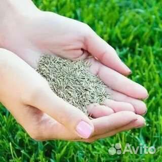 Семена газонной травы есо 5 кг