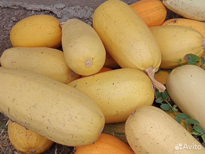 Продукты на корм животным