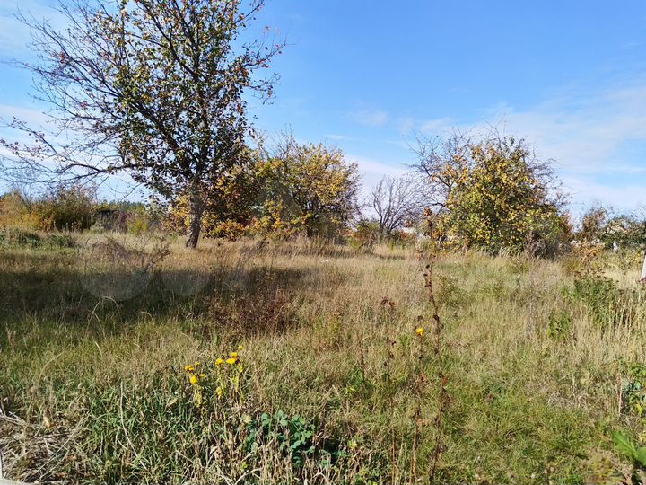 Участок 6 сот. (СНТ, ДНП)