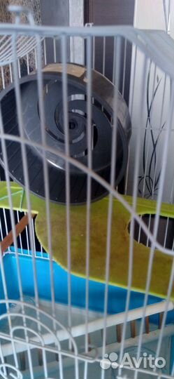 Клетка для грызунов