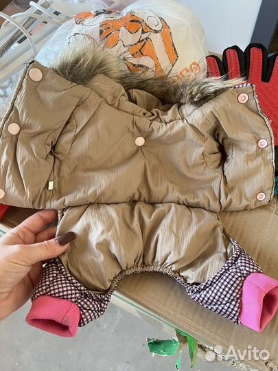 Одежда для собак XS