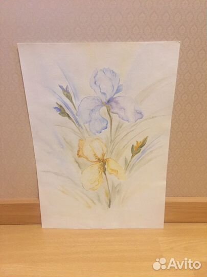 Акварельная картина Ирисы