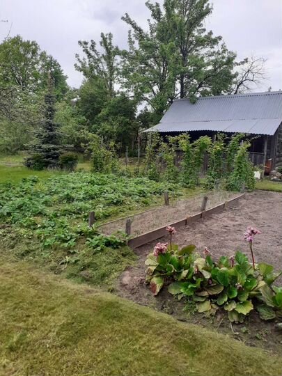 Участок 8,7 сот. (ИЖС)