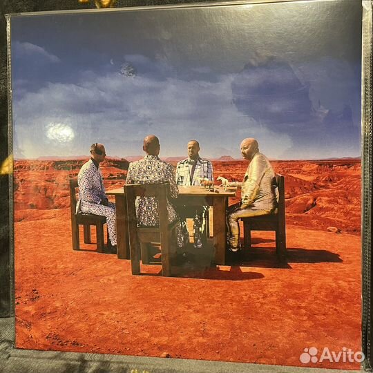 Виниловые пластинки Muse