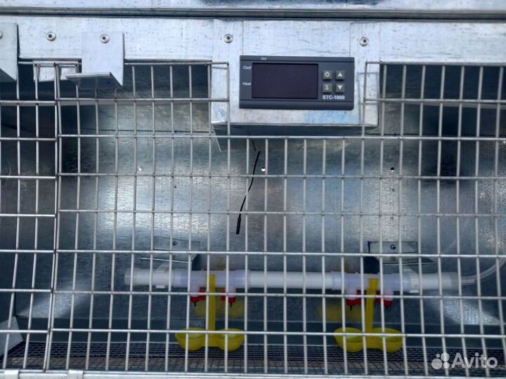 Брудеры и клетки