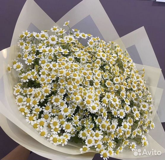 Гипсофила Букет Доставка по Перми 24/7