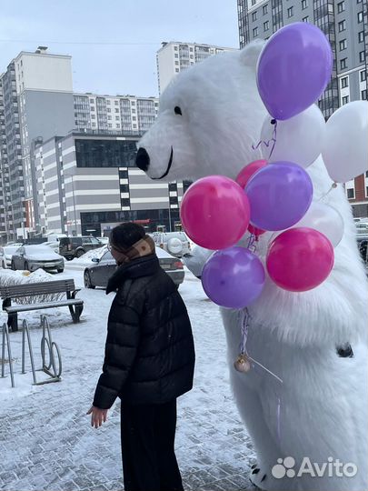 Белый мишка на поздравление