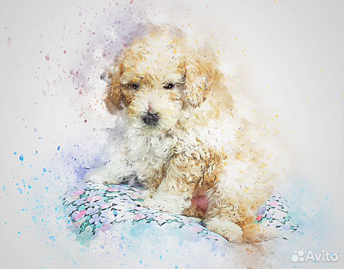 Макеты/Шаблоны для печати на футболках и кружках