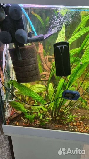 Аквариум 200л