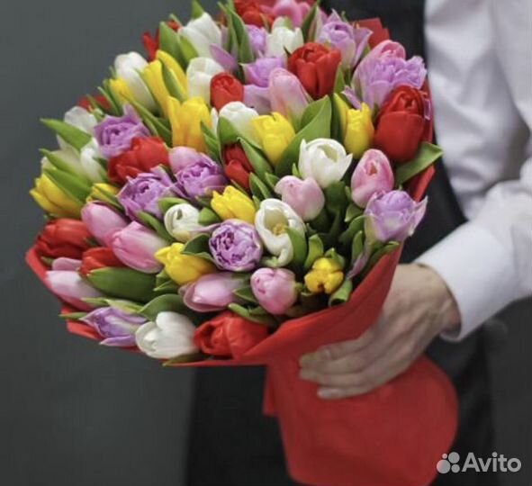 Тюльпаны с доставкой 25 31 51 201