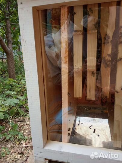 Улей украинская рамка