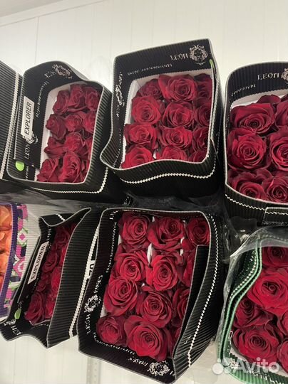 Розы букеты