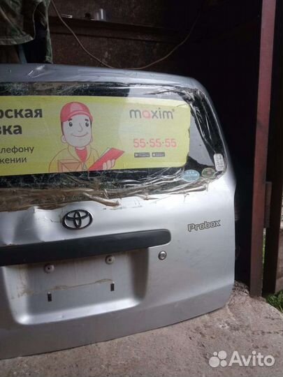 Дверь задняя пробокс