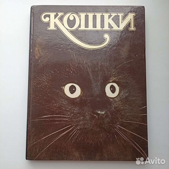 Книги о животных, книги про кошек, детские книги