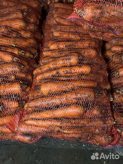 Морковь корейка