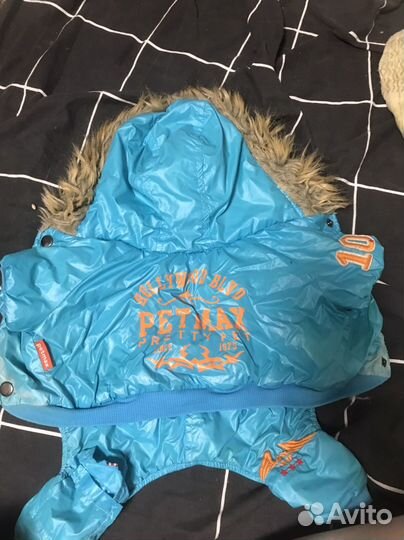 Одежда для собак