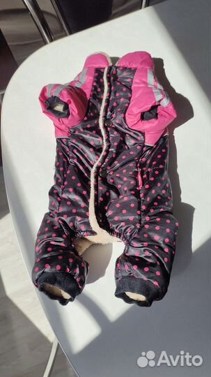 Одежда для маленьких собак