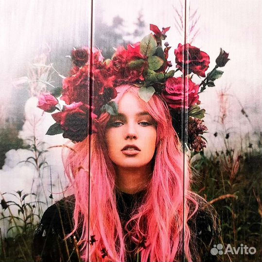 Картины на холсте с вашим фото портрет в Хабаровск