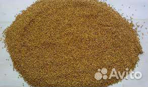 Семена могара бельский