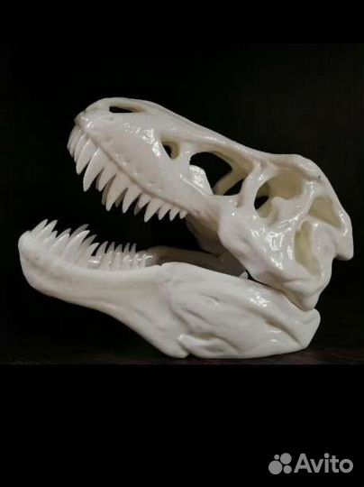 Череп динозавра