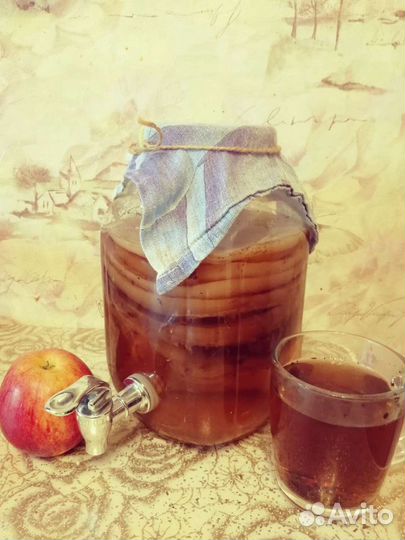 Чайный гриб