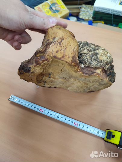 Кап сувель березовый 20 на 15 см