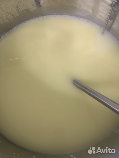 Сыворотка на выпойку животным