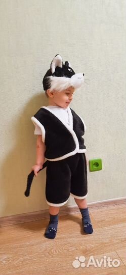 Костюмы кошек прокат