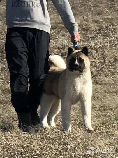 Яркая девочка