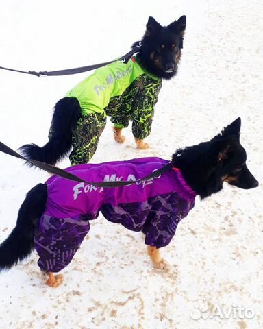 Дождевики/ грязевики, пыльники для собак