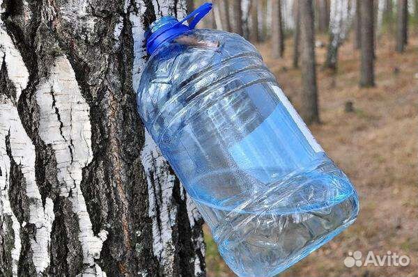 Натуральный берёзовый квас