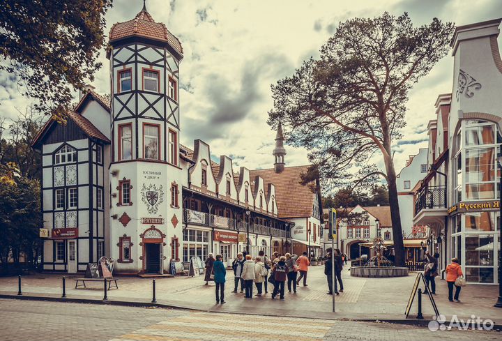 Янтарный+Светлогорск экскурсия